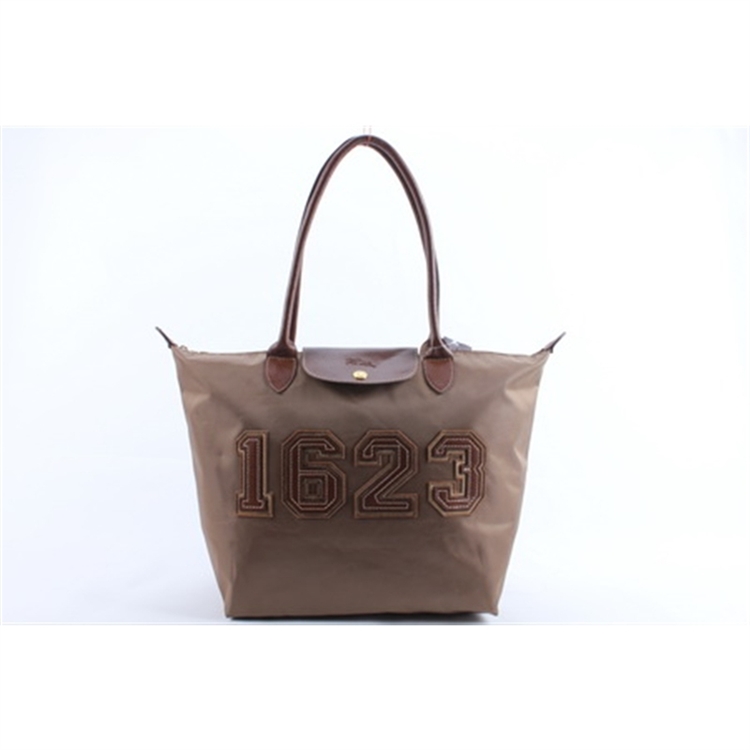Longchamp Le Pliage 1623 Bags Chocolate